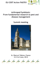 PDF - 775.7 kb